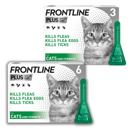 Tick and Flea Treatment for Cats Frontline Plus Petwell