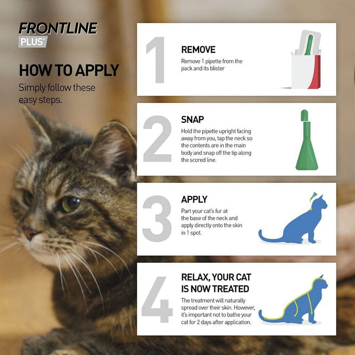 Frontline Use For Tick and Flea Treatment for Cats - Frontline Plus | Petwell