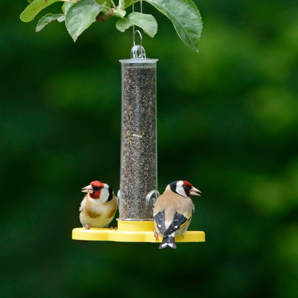 Goldfinch Finder bird feeder