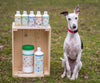 Lifestyle View of Nilaqua Pets The Critters Towel Off Dog Shampoo