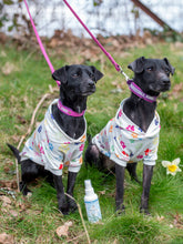 Lifestyle View of Nilaqua Pets Baby Fresh Dog Cologne