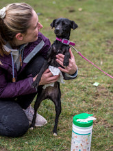 Lifestyle View of Nilaqua Pets Biodegradable Bamboo Pet Wipes