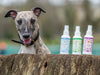Lifestyle View of Nilaqua Pets Gentle Leave In Detangle Dog Spray