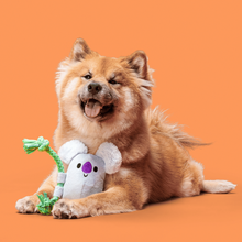 Barkbox Squeaky Dog Toy BarkBox Best Of Box Plush Toy Bundle For