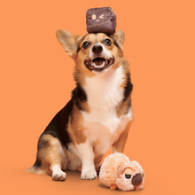 BARK Walken Wombat Dog Toy