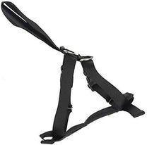Front View of Rac 2 in 1 Car Dog Harness - Jumbo