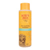 Front View of Burt's Bees Itch Soothing Dog Shampoo