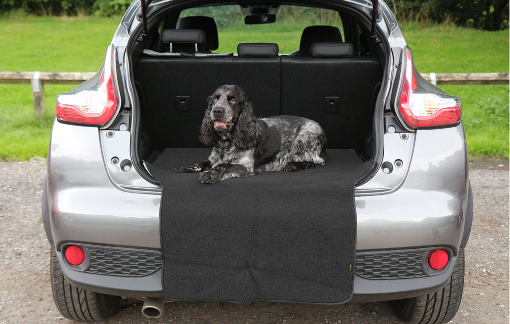 Cocker Spaniel lying down on a car boot cover protector in the back fo a car