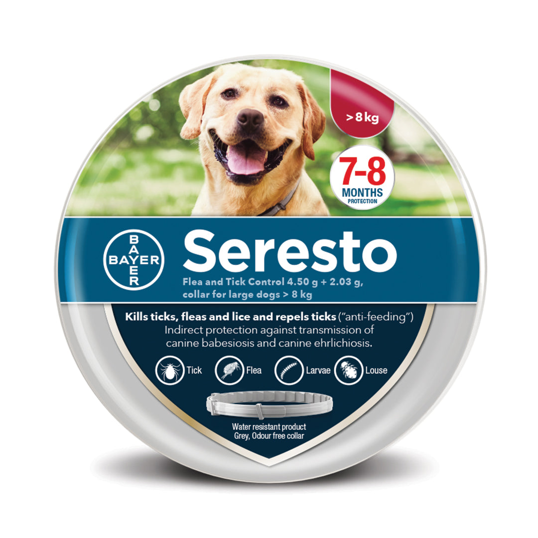 Seresto Large Dog Collar for Flea and Tick Control | Petwell