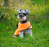 Small dog sat on the grass wearing a Rac Advanced Microfiber Towel Coat