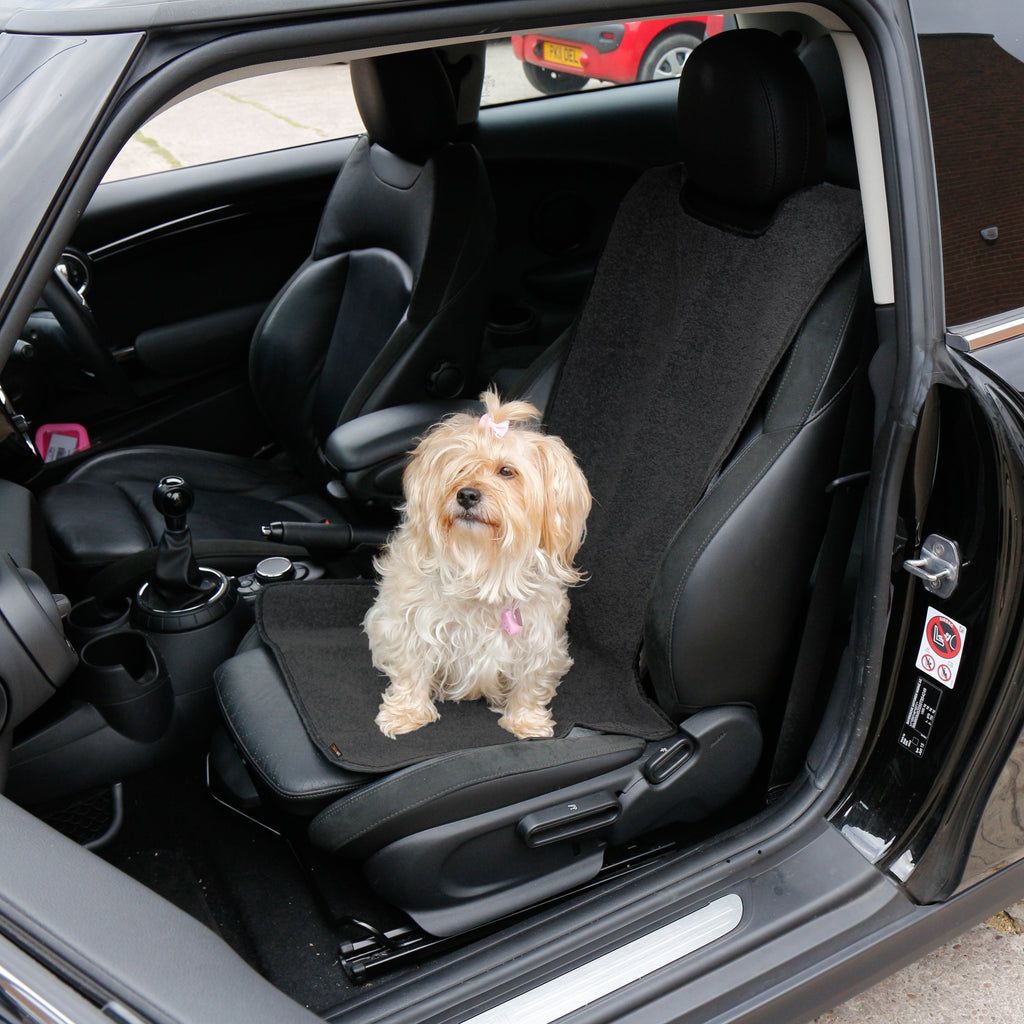 Small dog sat on a RAC Advanced Car Seat Cover in the front of a car in the passenger seat