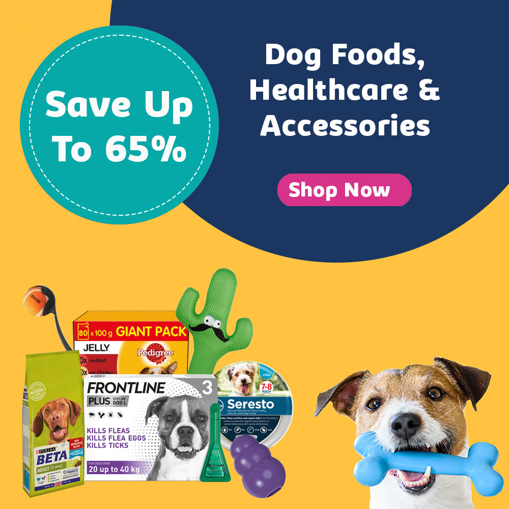 Dog Foods, Healthcare & Accessories