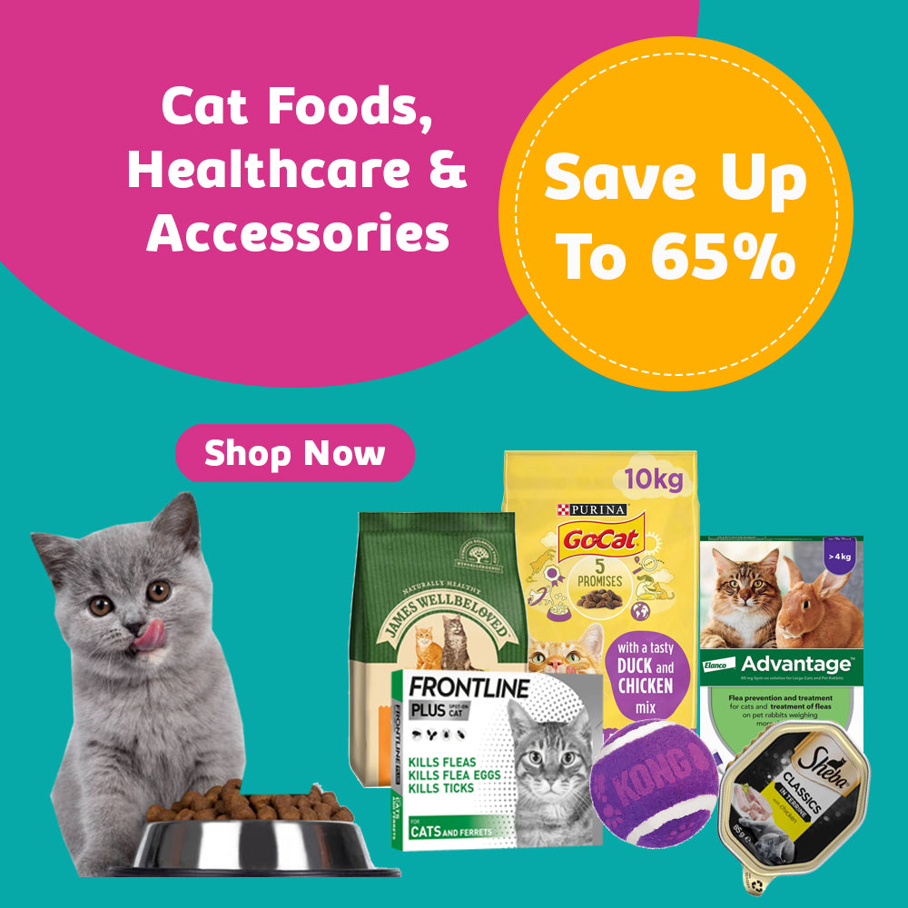 Cat Foods, Healthcare & Accessories