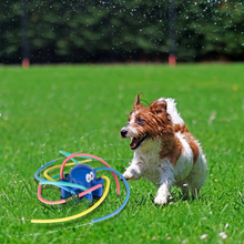 Small dog playing outdoors with a Outpaws Octopus Sprinkler