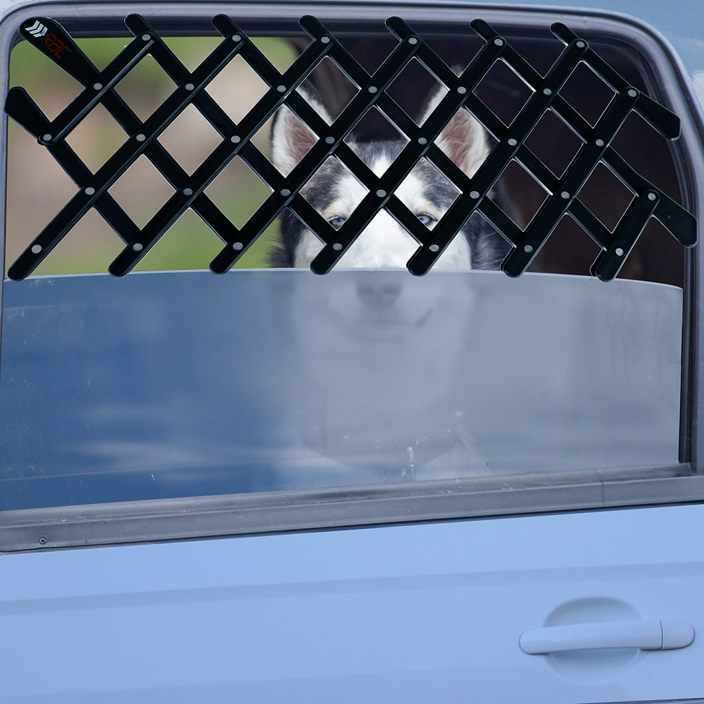 Huskey using the RAC Window Vent Guard in a car