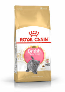 Royal Canin Kitten British Shorthair Dry Cat Food