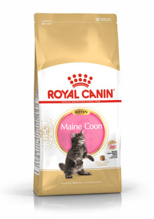 Royal Canin Kitten Maine Coon Dry Cat Food