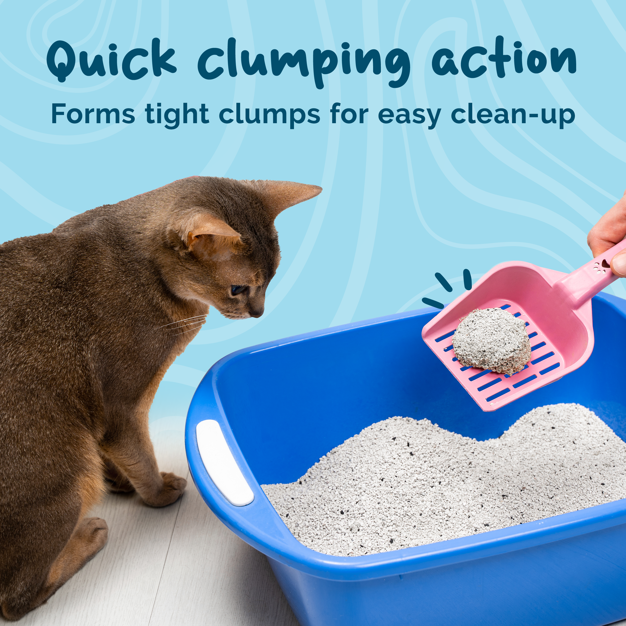 Petsentials Super Clumping Cat Litter with Activated Carbon 20L