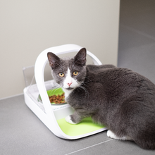 Multi-Pet Household Using Microchip Cat Feeder – Stops Food Theft