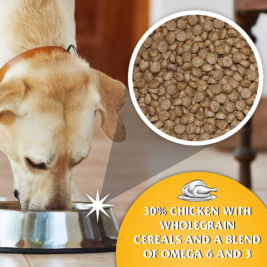 Puppy Chicken Recipe Dr John Puppy Food 10kg Dr John Working Puppy