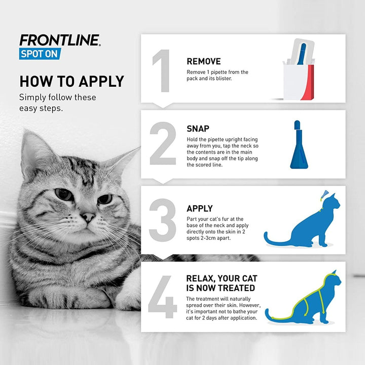 How to Apply Frontline Spot On for Cats