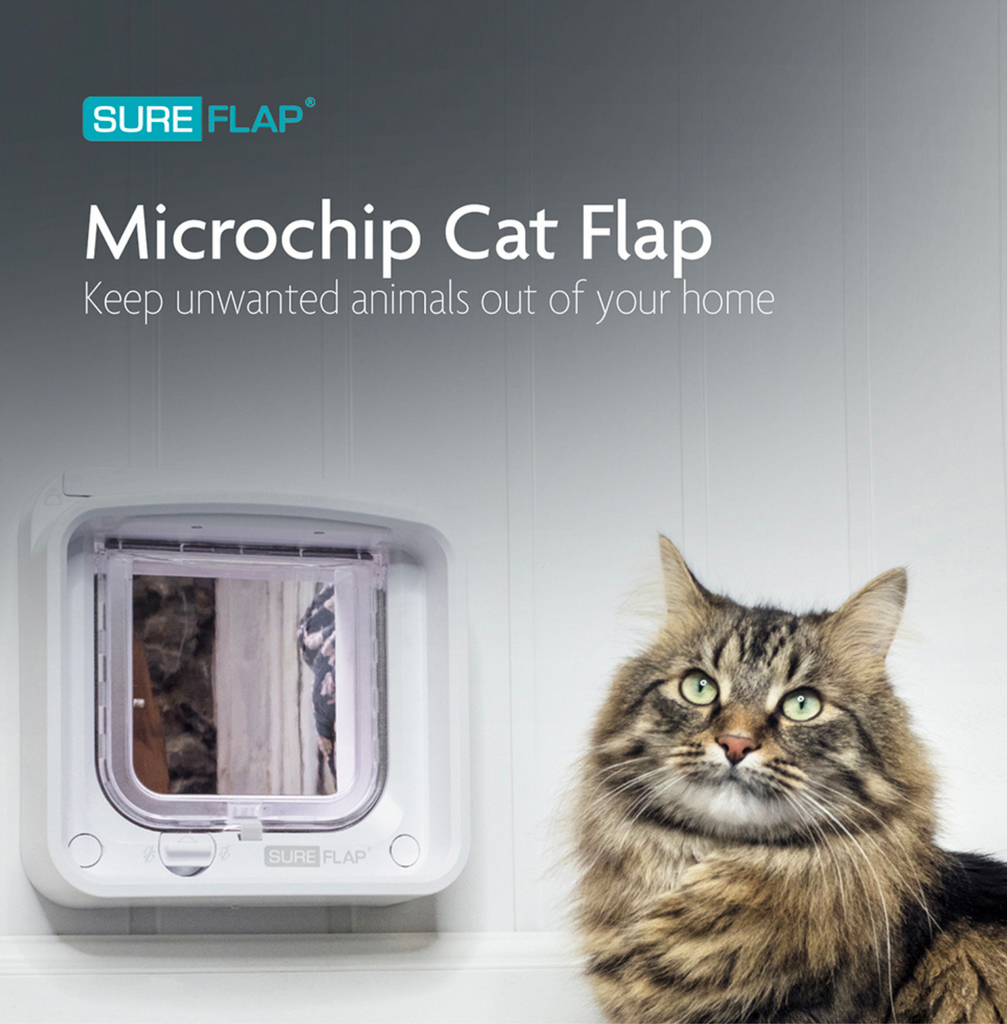 Microchipped Cat Flaps With Alarm Systems photo