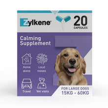 Zylkene Calming Supplements 20 Capsules  for large dogs 15kg-60kg