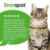 Dronspot Review