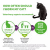 How often should I worm my cat? 