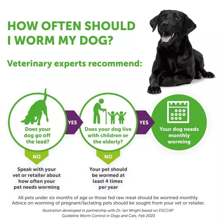 How often should I worm my dog?