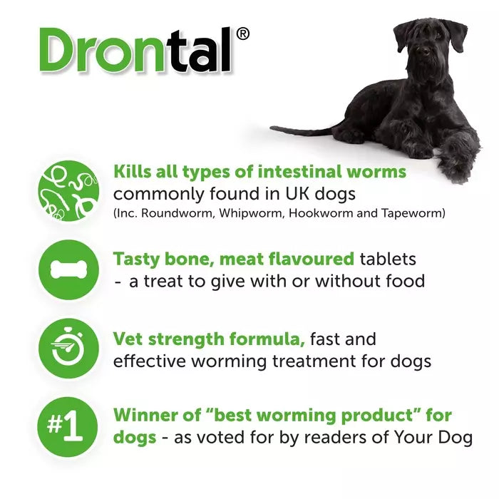 drontal tasty bone dog wormer