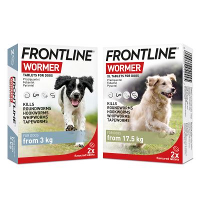 frontline wormer dog