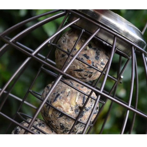 Nut and seed fat balls in a outdoor bird feeder