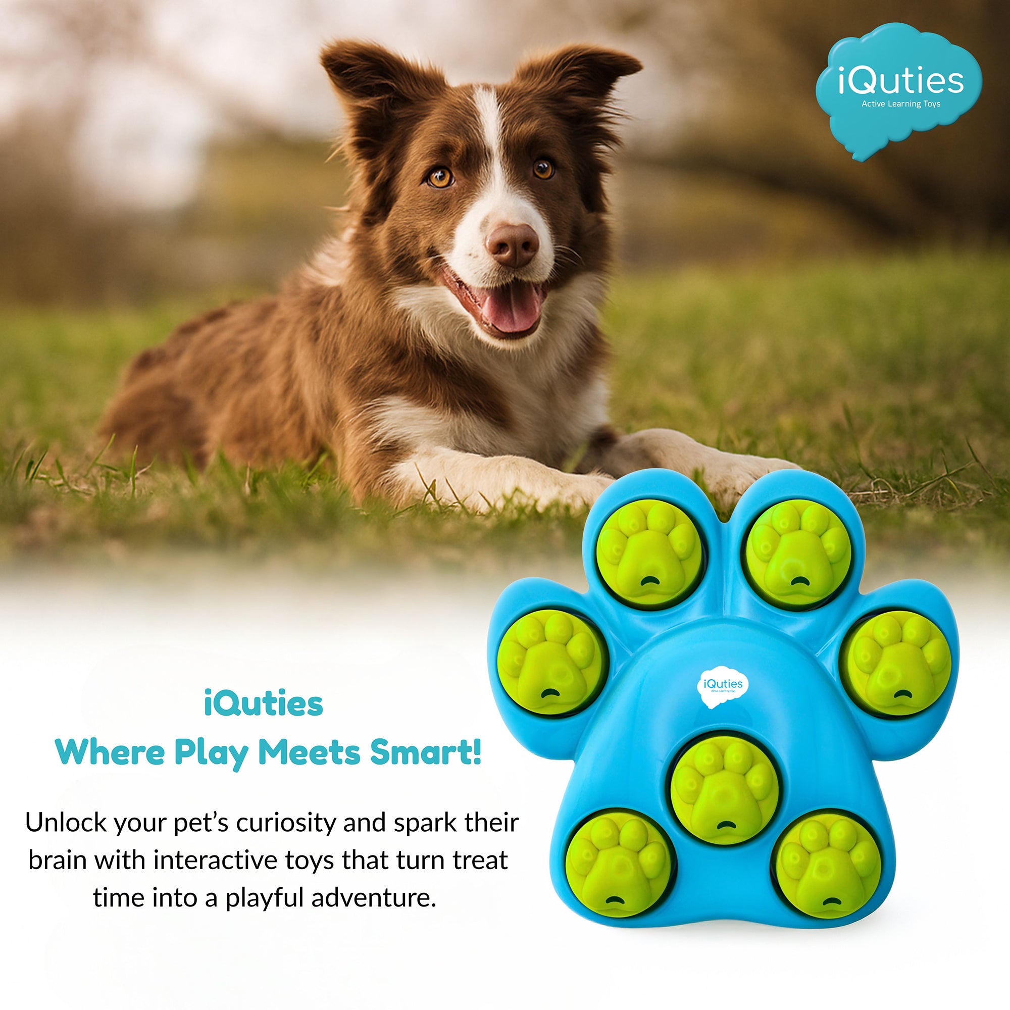 iQuties Active Training Paw Hide IQ Interactive Dog Toys