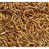 Dried mealworms for birds