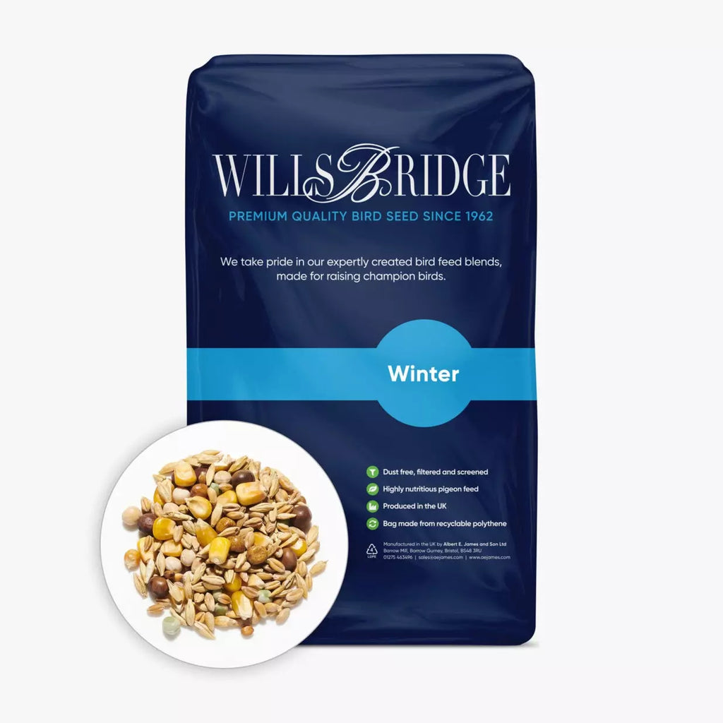 Willsbridge Pigeon Maintenance Mix Premium Quality Bird Seed Mix