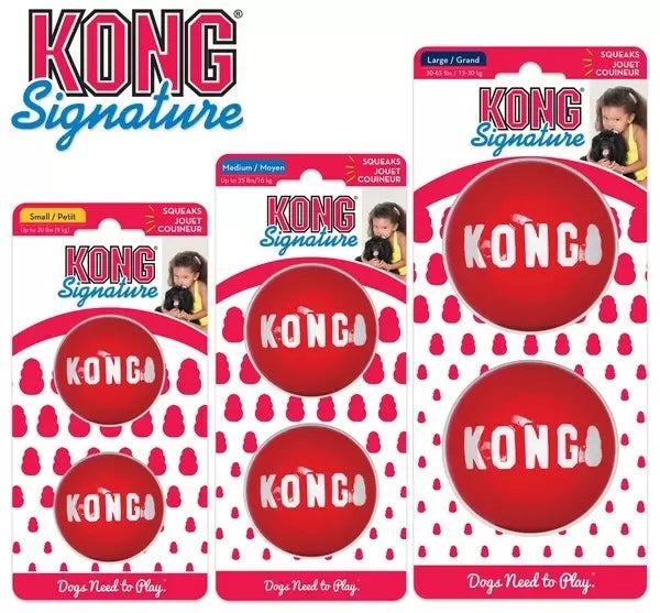 Kong Signature Balls 2pack Large Pet Toys Petwell