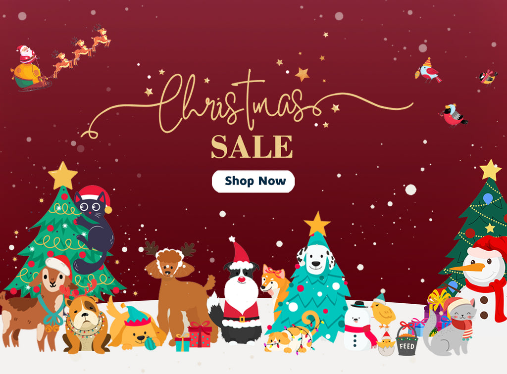 Pet Products Christmas Sale