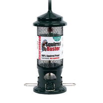 Jacobi Squirrel Buster Feeder