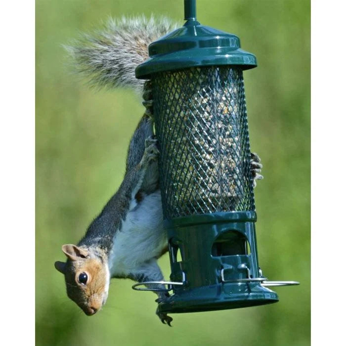 Jacobi Squirrel Buster Feeder in use by a squirrel outdoors