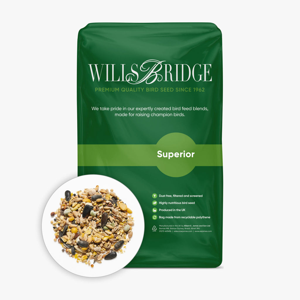 Willsbridge Wildbird Superior Feed Premium Quality Bird Seed Mix