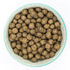 Kibble of Burns Duck & Potato Grain Free Puppy & Junior Dry Dog Food