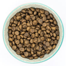 Burns Grain Free Duck & Potato Adult & Senior Dry Cat Food