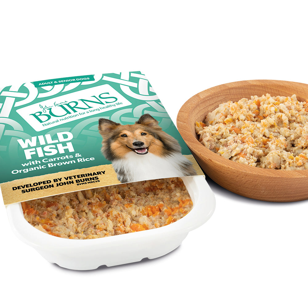 Burns Penlan Farm Complete Wild Fish Veg & Brown Rice Wet Dog Food