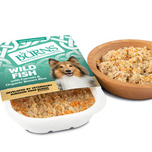 Burns Penlan Farm Complete Wild Fish Veg & Brown Rice Wet Dog Food