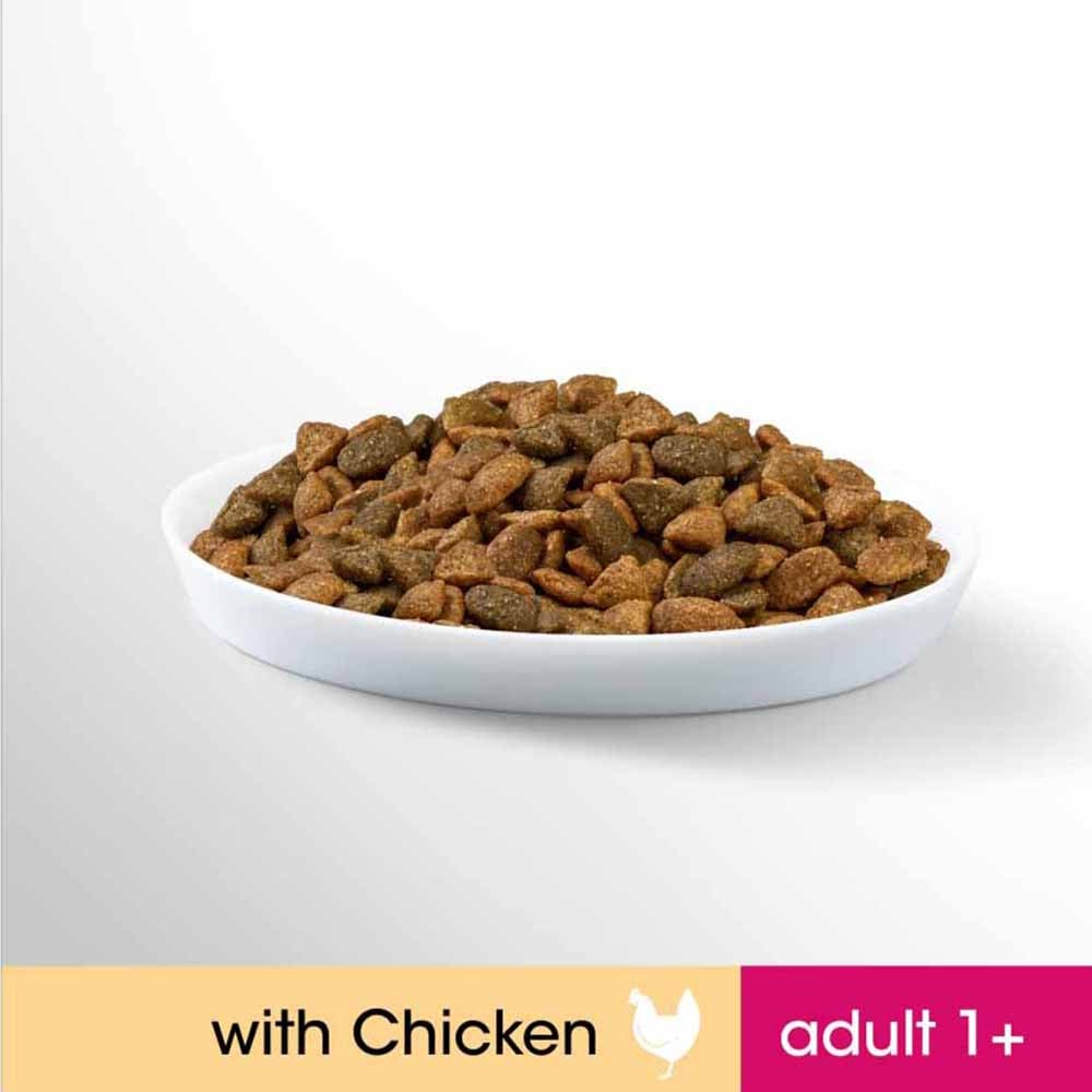 Perfect Fit Chicken Complete Adult Dry Cat Food