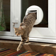 Cat is using the Sureflap Cat Flap Mounting Adaptor White