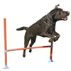 Agility Hurdle Jump Dog Activity Training Toy