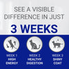 See a visible difference in just 3 weeks -Purina One Adult Cat Mini Fillets In Gravy