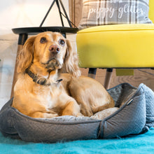 Dream Paws Geometric Pet Sofa Bed